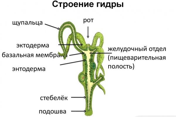 Кракен не работает сайт